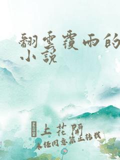 翻云覆雨的秘密小说