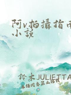 阿v拍摄指南说小说