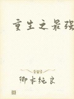 重生之最强英雄