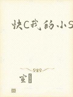 快C我的小SB