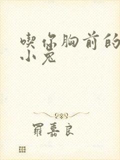 吃你胸前的两只小兔