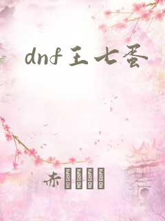 dnf王七蛋