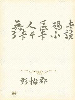 无人区码卡二卡3卡4卡小说