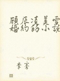 顾辰凌美雪五份婚约的小说名字叫什么