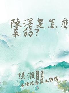 陈泽是怎么火起来的?