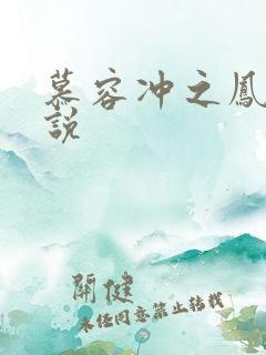 慕容冲之凤凰传说