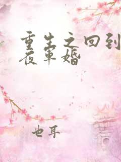 重生之回到新婚夜军婚