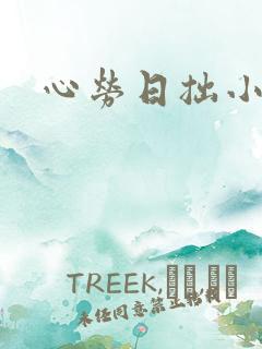 心劳日拙小说