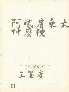 阿斌房东太太是什么梗