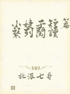 小婕子短篇小说系列阅读