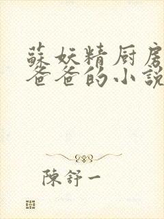 苏妖精厨房爹爹爸爸的小说