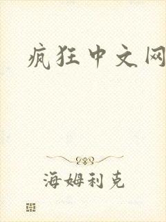 疯狂中文网