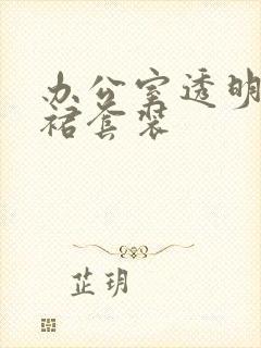 办公室透明半身裙套装