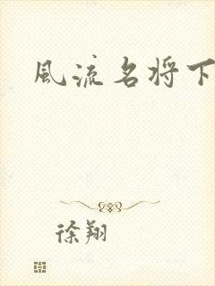 风流名将下载