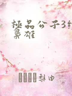 极品公子3续世枭雄