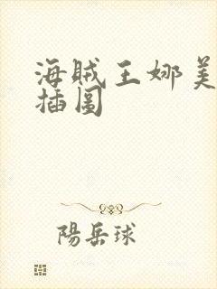 海贼王娜美被轮插图