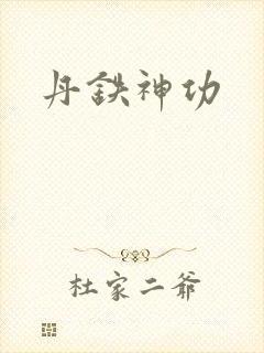 丹铁神功