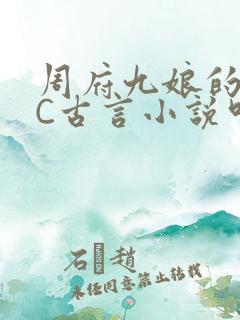 周府九娘的NPC古言小说叫什么