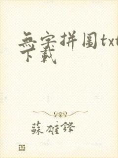 无字拼图txt下载