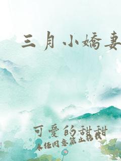 三月小娇妻