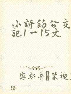 小诗的公交车日记1一15文