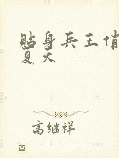 贴身兵王俏总裁夏天