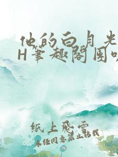 他的白月光HvH笔趣阁团叽叽