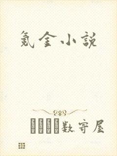 氪金小说
