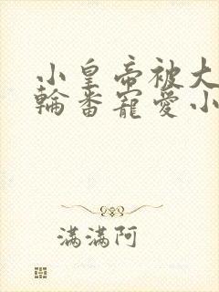 小皇帝被大臣们轮番宠爱小说