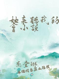 她来听我的演唱会小说