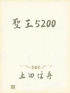 圣王5200
