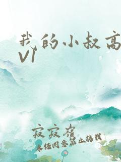 我的小叔高H1V1