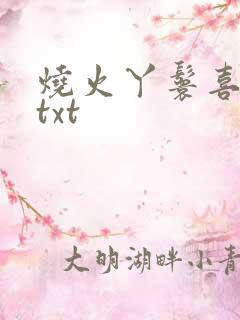 烧火丫鬟喜洋洋txt