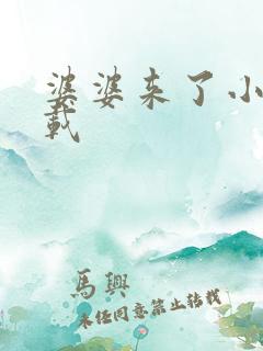 婆婆来了小说下载