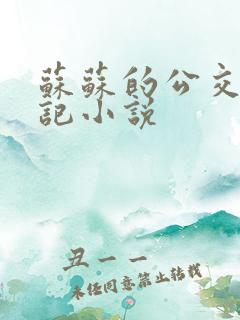 苏苏的公交车日记小说