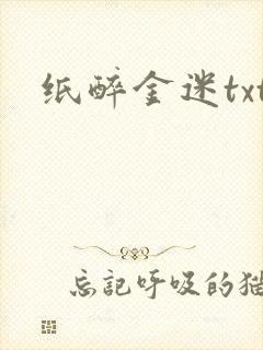 纸醉金迷txt