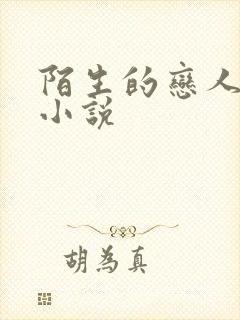 陌生的恋人原著小说