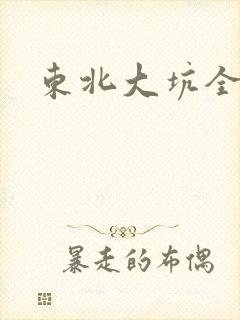 东北大坑全集