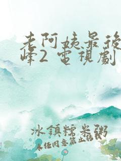 老阿姨最后的巅峰2 电视剧