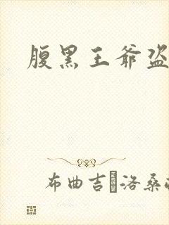 腹黑王爷盗墓妃