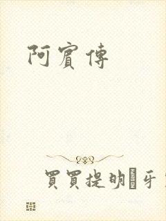 阿宾传