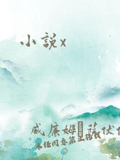 小说x
