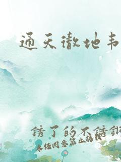 通天彻地韦小宝