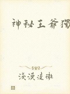 神秘王爷独宠妃