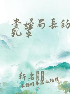 贵妇局长的蕾丝乳罩