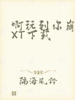 啊玩到你崩溃TXT下载