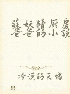 苏妖精厨房爹爹爸爸的小说