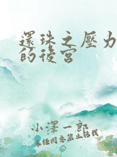 还珠之压力山大的后宫