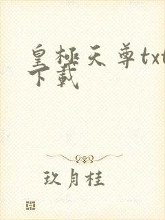 皇极天尊txt下载