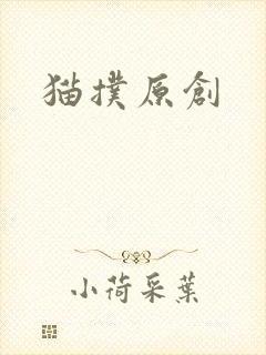 猫扑原创